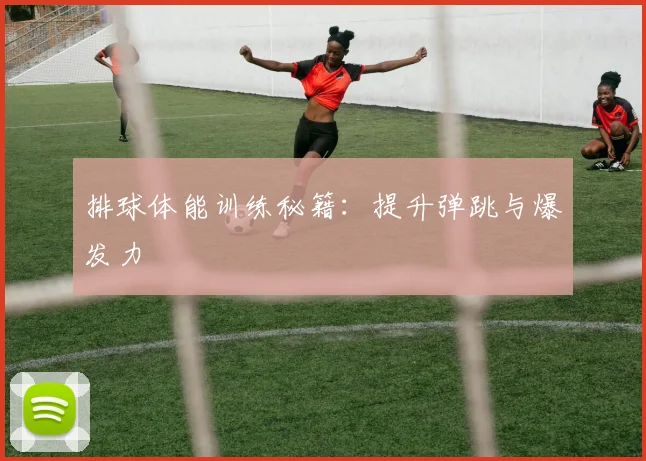 排球体能训练秘籍：提升弹跳与爆发力