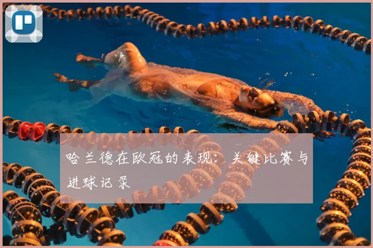 哈兰德在欧冠的表现:关键比赛与进球记录